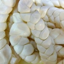 ANADOLU BÖLGESİ ÖRGÜ PEYNİRİ