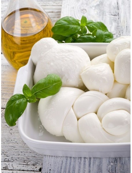 ANADOLU BÖLGESİ ÖRGÜ PEYNİRİ